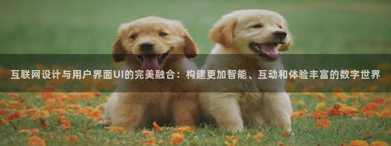 先锋娱乐股票