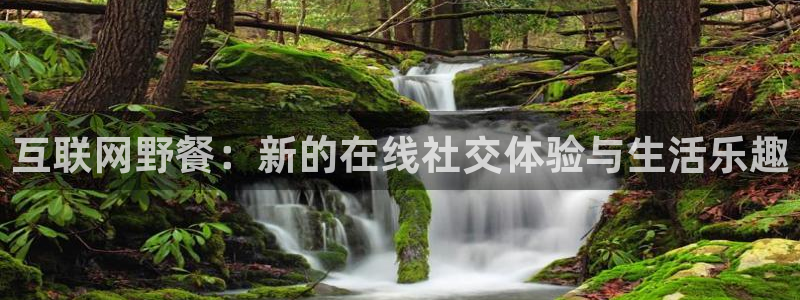 先锋娱乐官