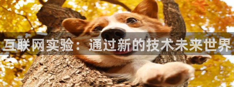 先锋娱乐播报