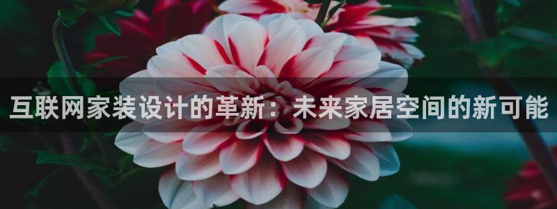 时代先锋娱乐