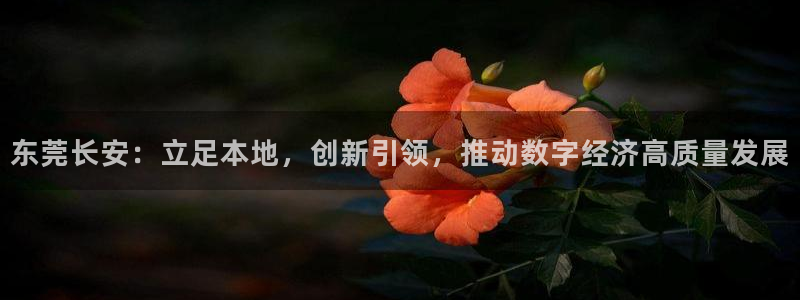 先锋娱乐公司正规吗吗