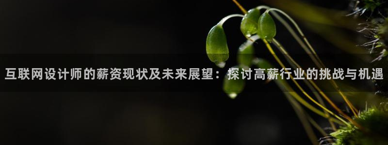 先锋娱乐在哪下载