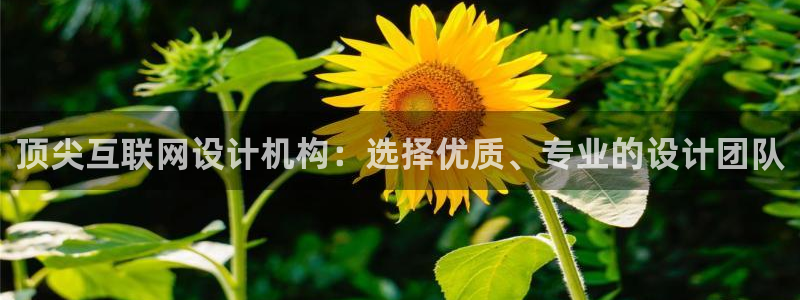 先锋娱乐大厅透视