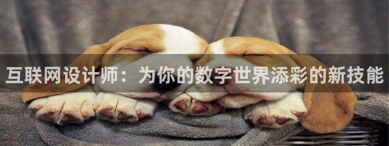 先锋岛娱乐