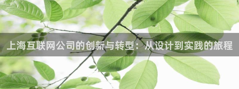 先锋娱乐挂