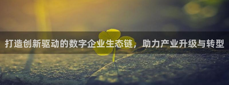 先锋娱乐官方