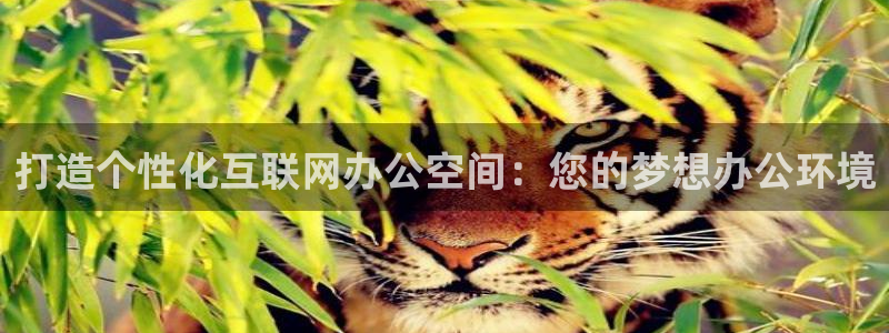 先锋娱乐传媒