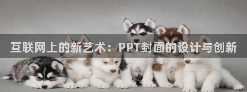 先锋娱乐科技
