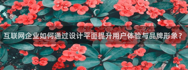 先锋娱乐大厅斗牛