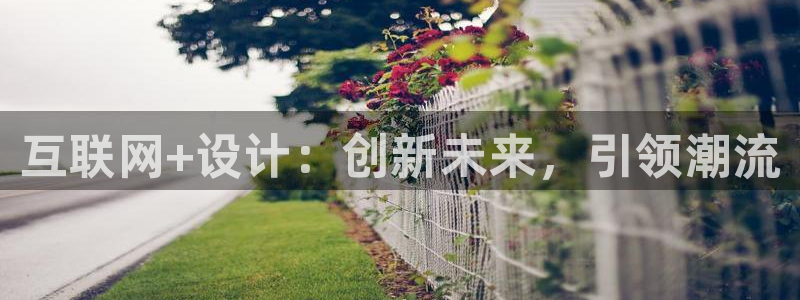 先锋娱乐大厅有挂吗：互联网+设