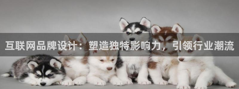 先锋澳门新娱乐