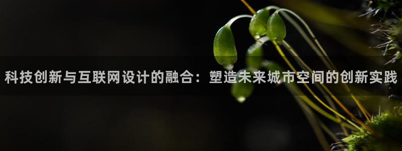 先锋 娱乐