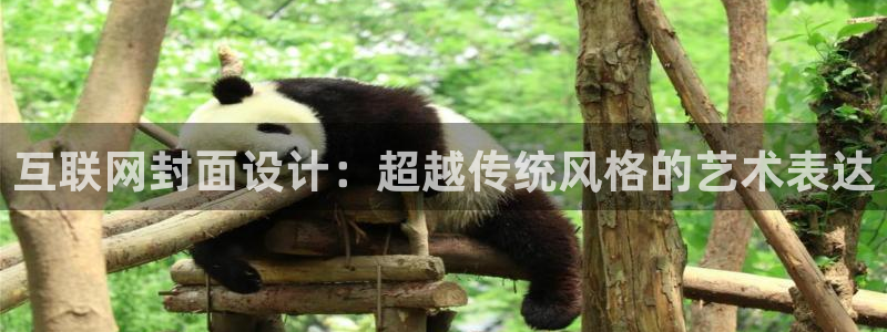 先锋娱乐会所地址：互联网封面设