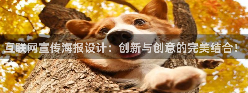 先锋娱乐侠：互联网宣传海报设计
