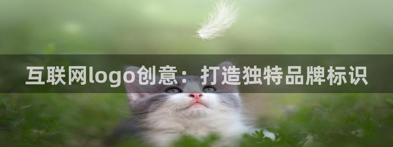 先锋娱乐情报