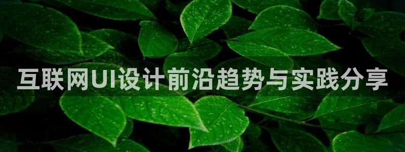 先锋娱乐资讯官网入口