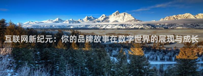 先锋 娱乐：互联网新纪元：你的