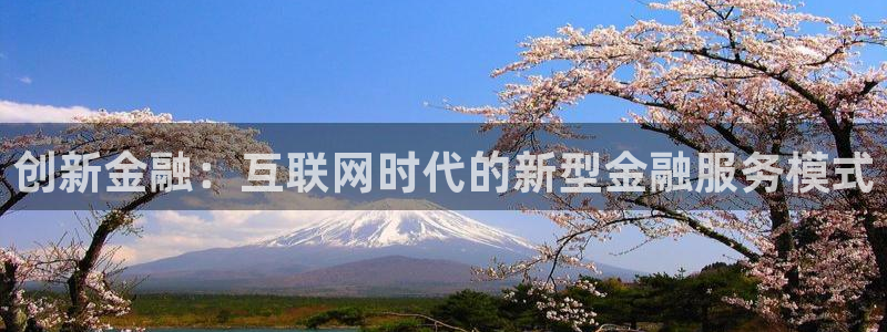 先锋娱乐电子游戏：创新金融：互